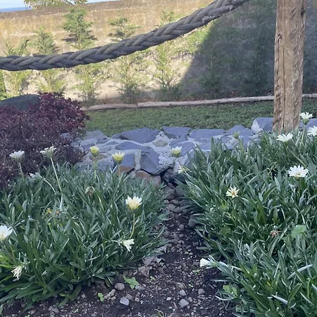 Casas Hortas, Vista Serra E Mar Διαμέρισμα *