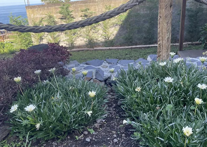 Casas Hortas, Vista Serra E Mar アパート *